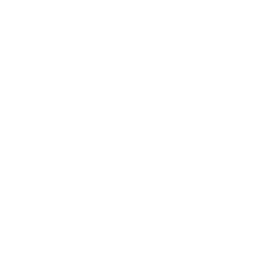 VinRobotic