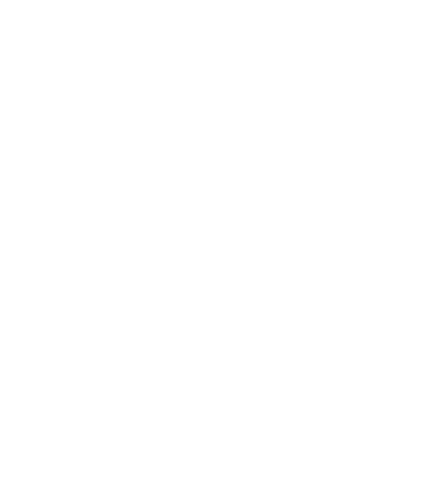 VinRobotic